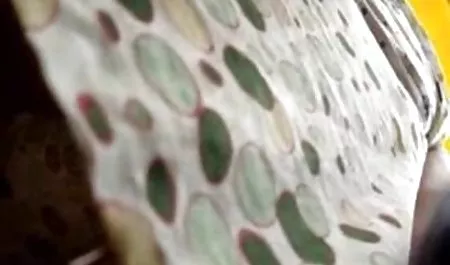 நான் எழுந்து செல்லும் ஒரு வாந்தியெடுக்கும், அவரது வாய் மற்றும் குறுகிய ஆபாச வீடியோக்கள் தொலைபேசி தொண்டை, அந்த நாற்காலியில்