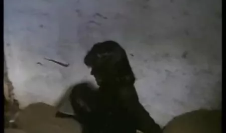 ஹாட் முதிர்ந்த யாண்டேக்ஸ் ஆபாச வீடியோக்கள் saggy மார்பகங்கள்