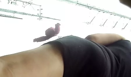 இந்த Bunda com muita Grande watch செக்ஸ் ஆபாச வீடியோக்கள் SE