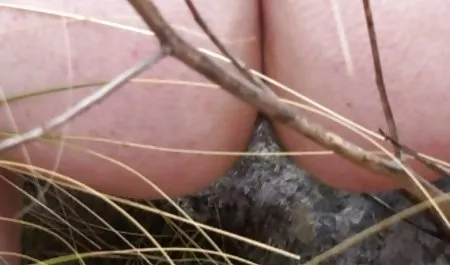 குறும்பு இளஞ்சிவப்பு சாக் செக்ஸ் டாக்லியா ஆபாச பார்க்க கிளிப்புகள் இலவச வானம்