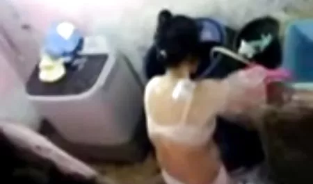 கிரகணம் அவர் விரும்பினேன் அவரை சந்திக்க, ஜெர்மன்  ஆனால் முடியவில்லை நான் அதை எதிர்க்க