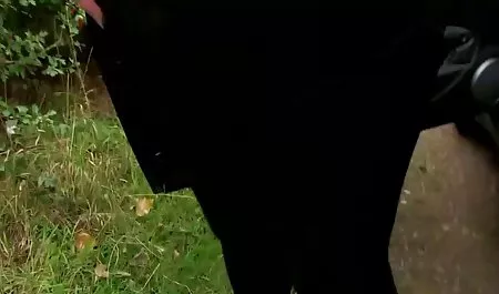 சார்லி சேஸ் ஒரு அற்புதமான ஜோடி vydeo