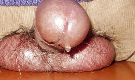 சந்தோஷமாக ஆபாச வீடியோக்கள் crumpets